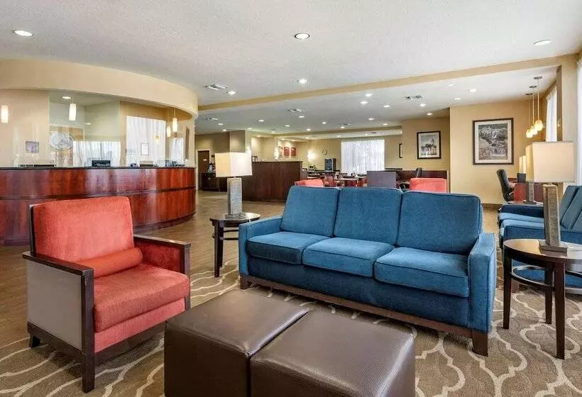 Fotos del hotel Comfort Suites Orlando Airport:  3