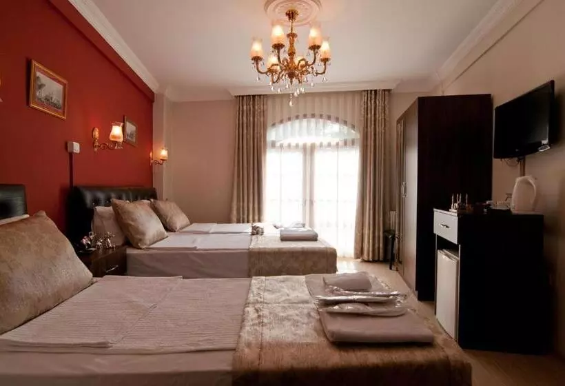 Fotos del hotel Magnificent:  18