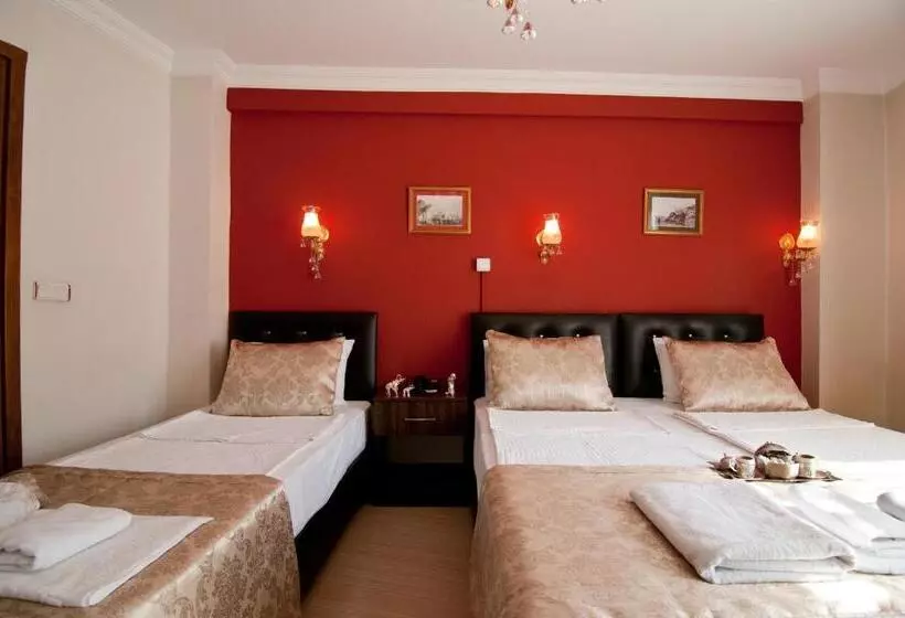 Fotos del hotel Magnificent:  2