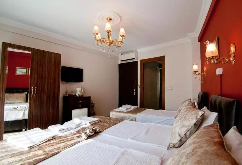 Fotos del hotel Magnificent:  15