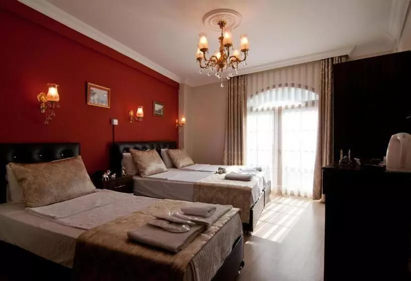 Fotos del hotel Magnificent:  19