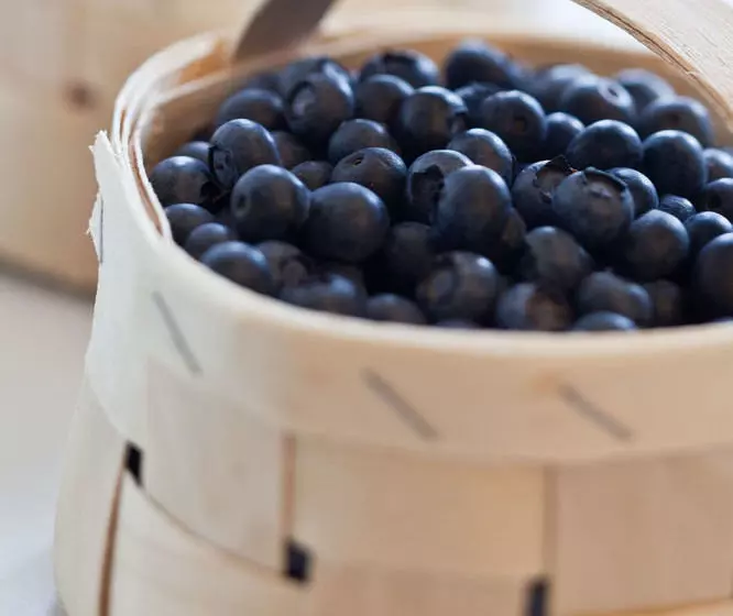 Fotos del hotel Otto:  14