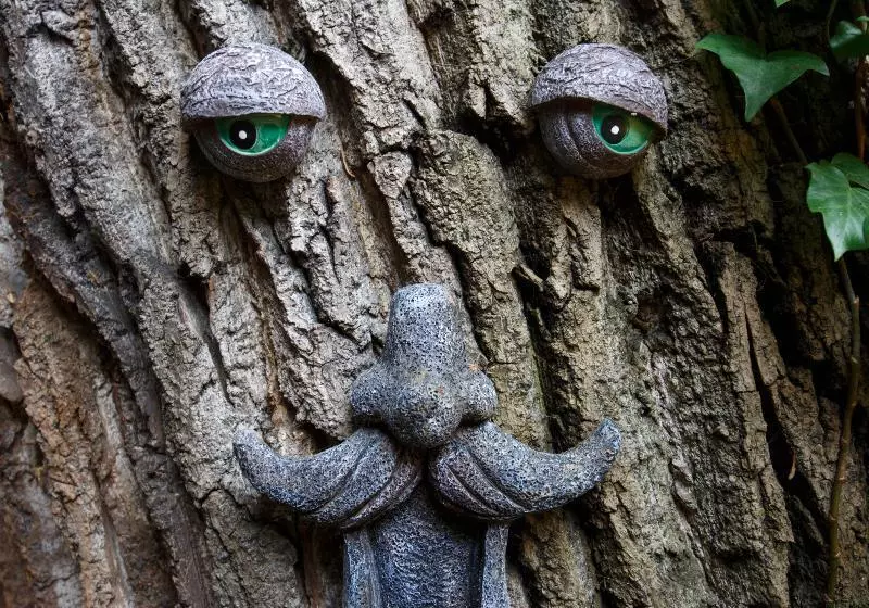 Fotos del hotel Regency House:  7