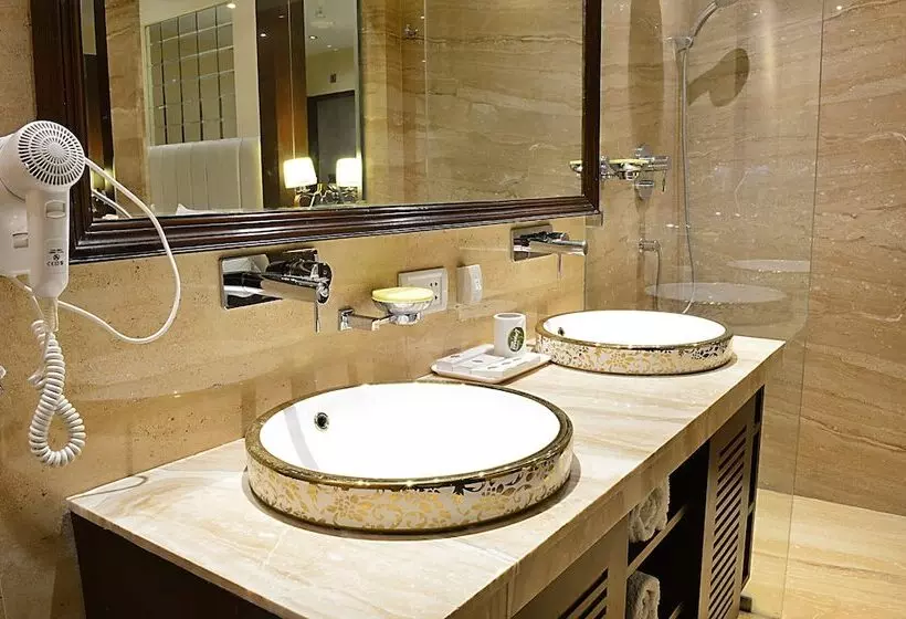 Fotos del hotel Emperor Palms At Karol Bagh:  4