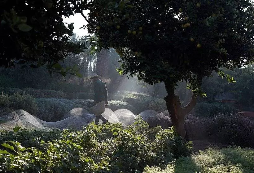 Fotos del hotel Royal Mansour Marrakech:  20