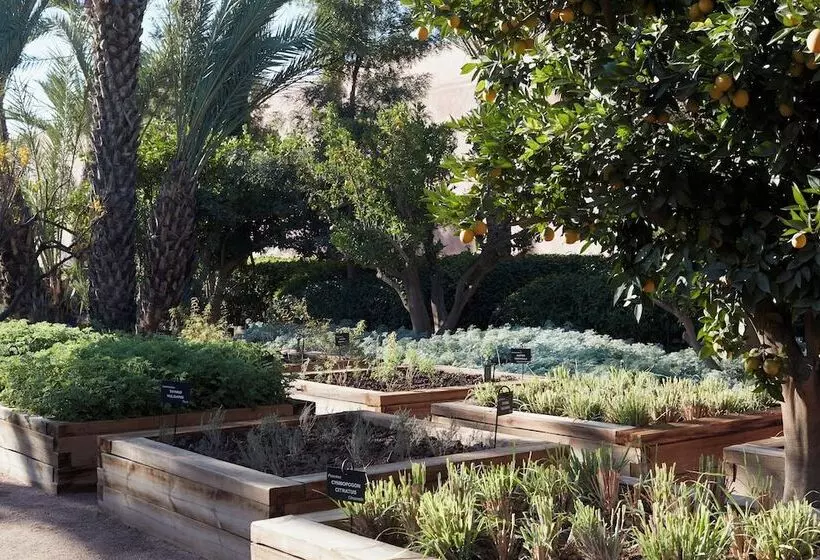 Fotos del hotel Royal Mansour Marrakech:  21