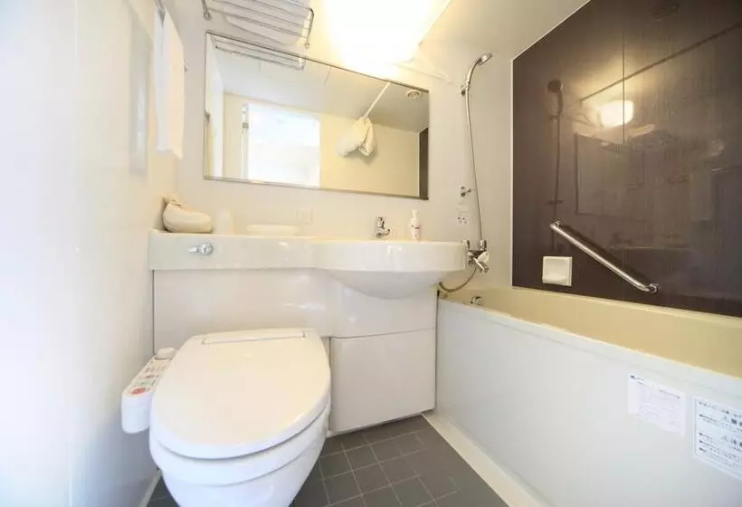 Fotos del hotel Sotetsu Fresa Inn Shinbashikarasumoriguchi:  5