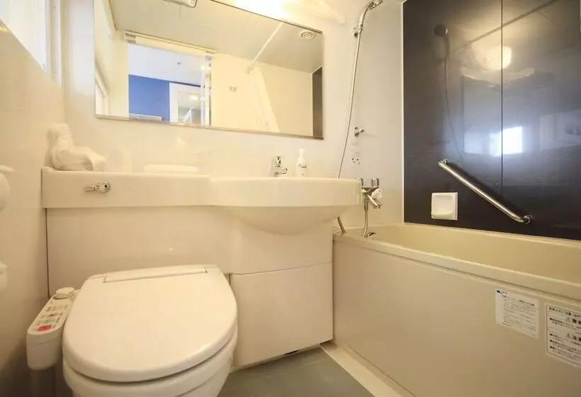 Fotos del hotel Sotetsu Fresa Inn Shinbashikarasumoriguchi:  10