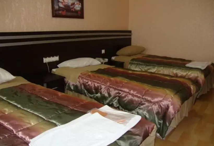 Fotos del hotel Madi  Ankara:  8