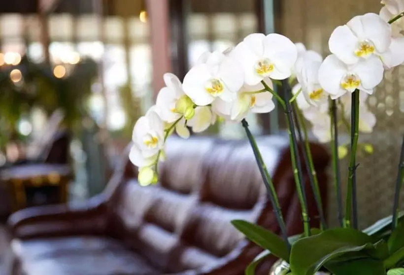 Fotos del hotel Garni Geisler:  13