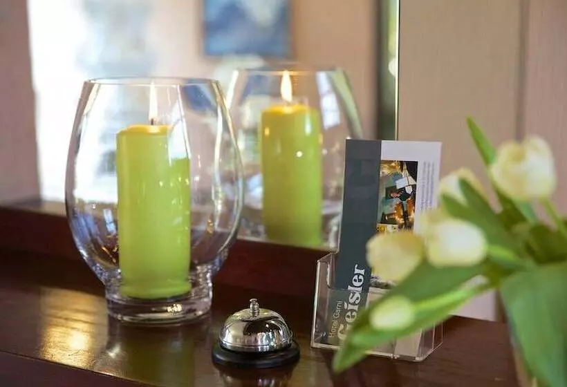 Fotos del hotel Garni Geisler:  11