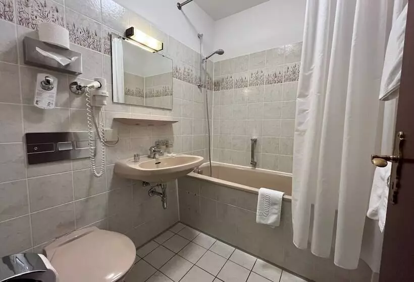 Fotos del hotel Garni Geisler:  5