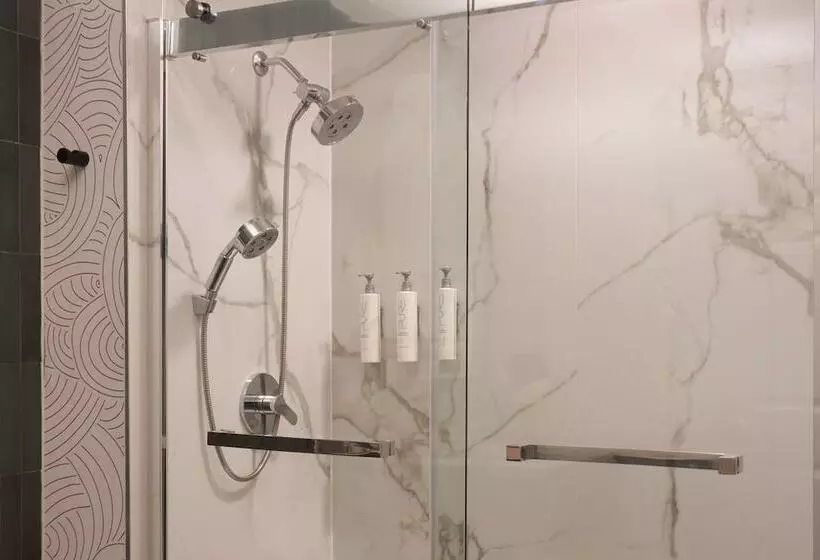 Fotos del hotel Indigo Houston At The Galleria, An Ihg:  17