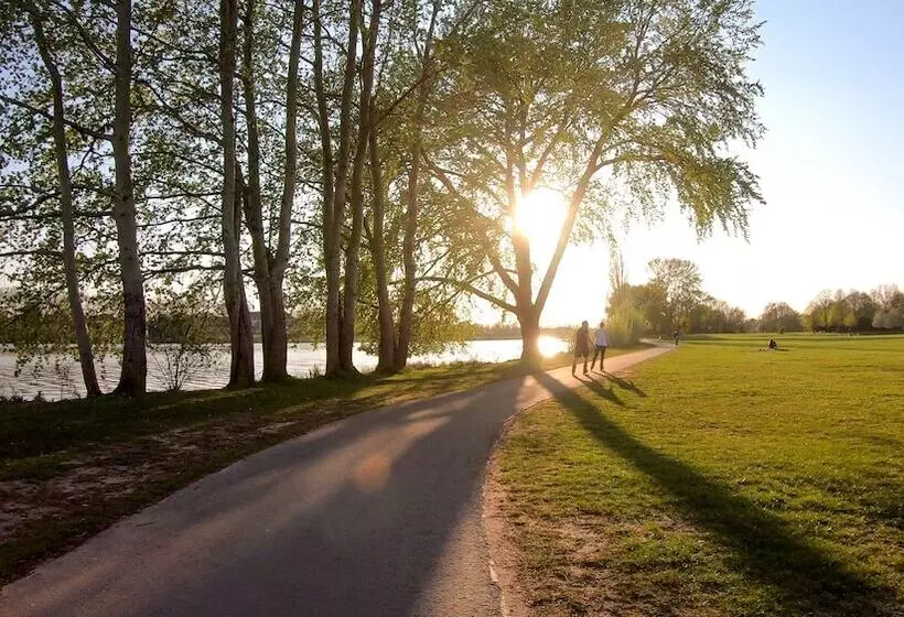 Fotos del hotel Zum Kuhhirten:  8