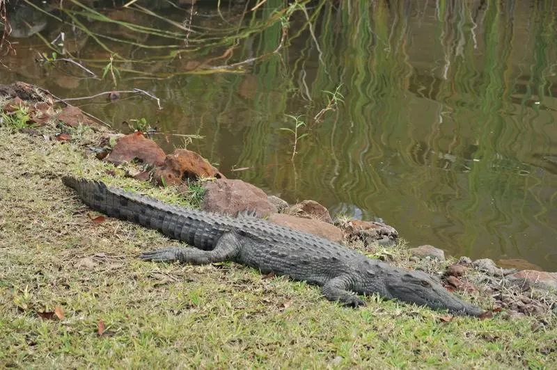 Fotos del hotel Aha The David Livingstone Safari Lodge & Spa:  6