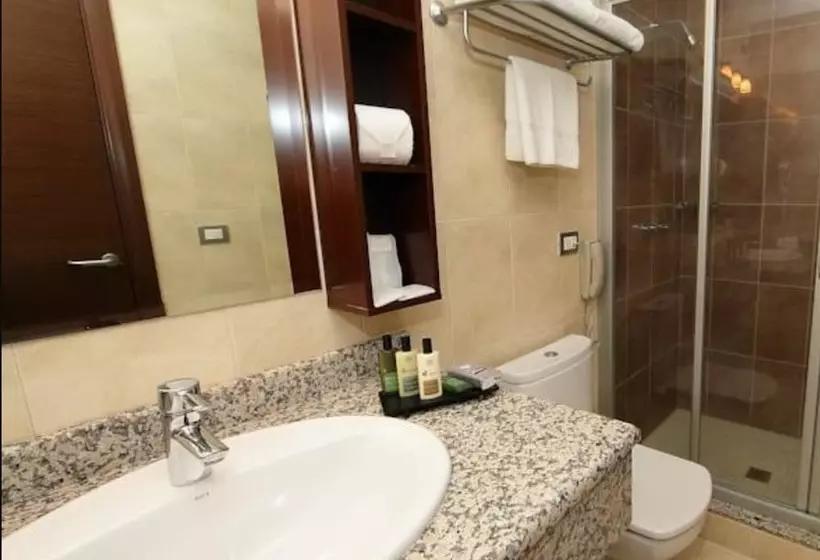 Fotos del hotel Ciudad De David:  8