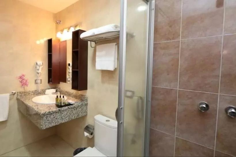 Fotos del hotel Ciudad De David:  15