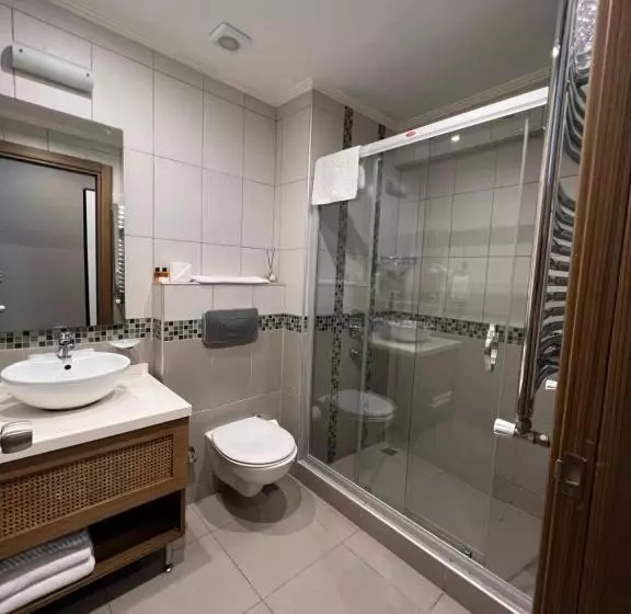 Fotos del hotel Flower Palace:  8