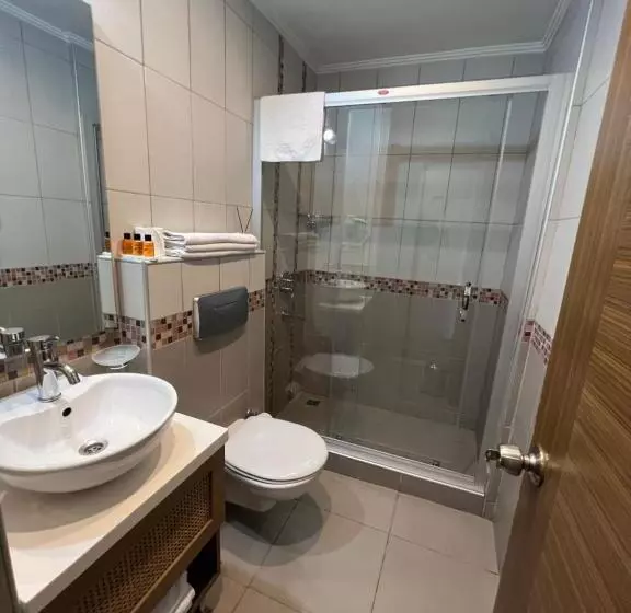 Fotos del hotel Flower Palace:  10