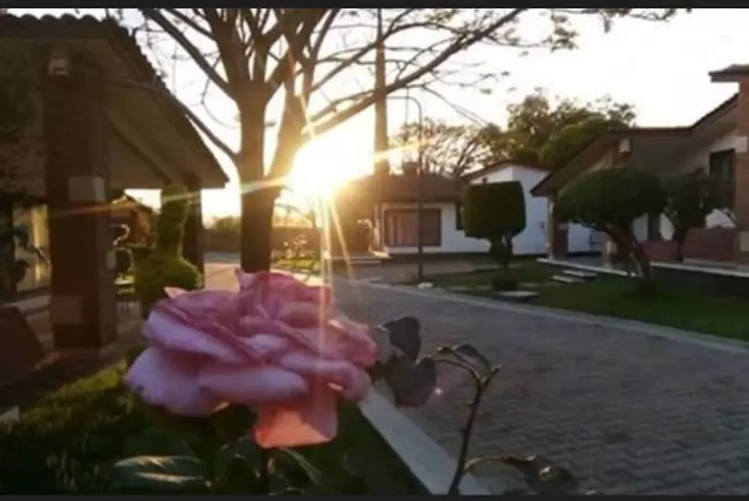 Fotos del hotel Villas Del Sol  & Bungalows:  25