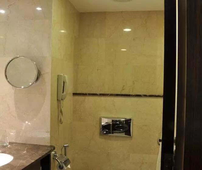 Fotos del hotel Adarsh Hamilton:  19