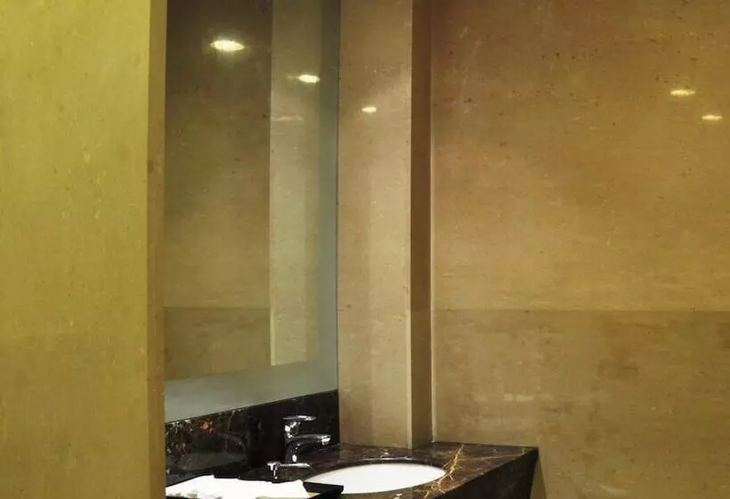 Fotos del hotel Adarsh Hamilton:  21