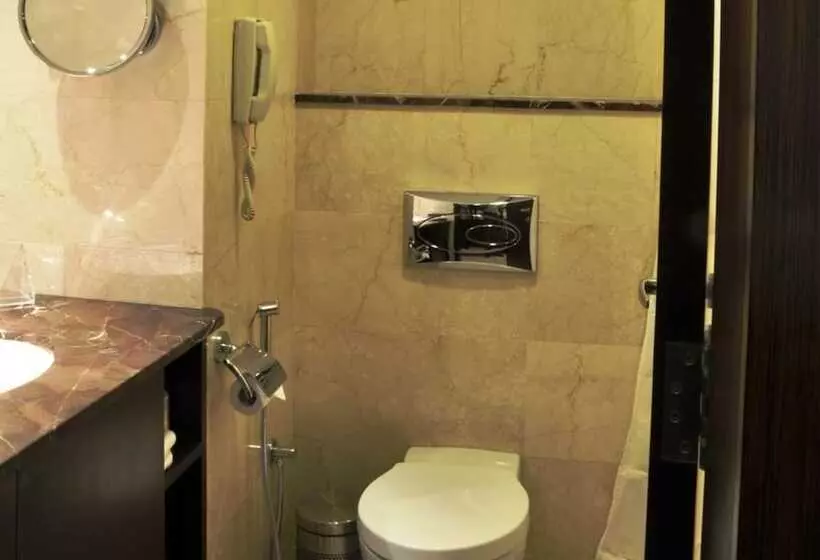 Fotos del hotel Adarsh Hamilton:  17