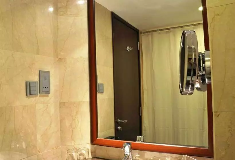 Fotos del hotel Adarsh Hamilton:  7