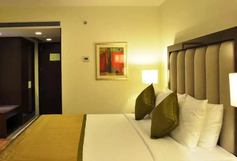 Fotos del hotel Adarsh Hamilton:  23