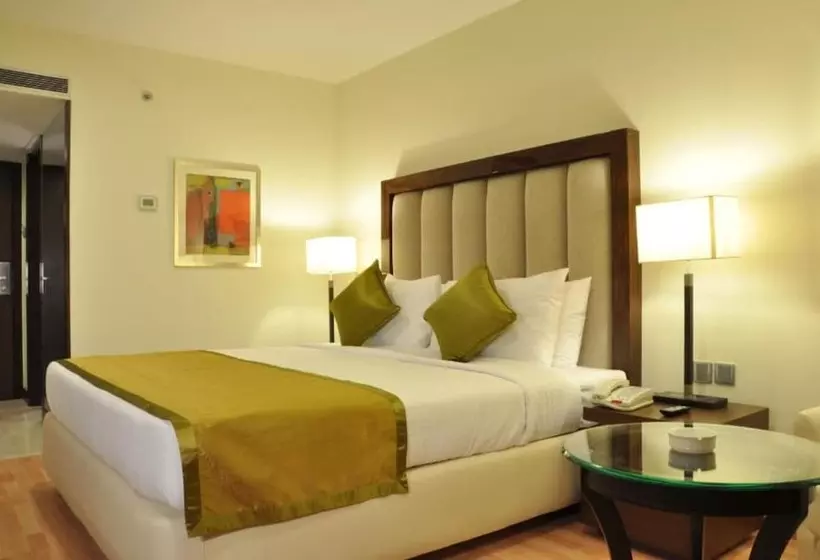 Fotos del hotel Adarsh Hamilton:  15