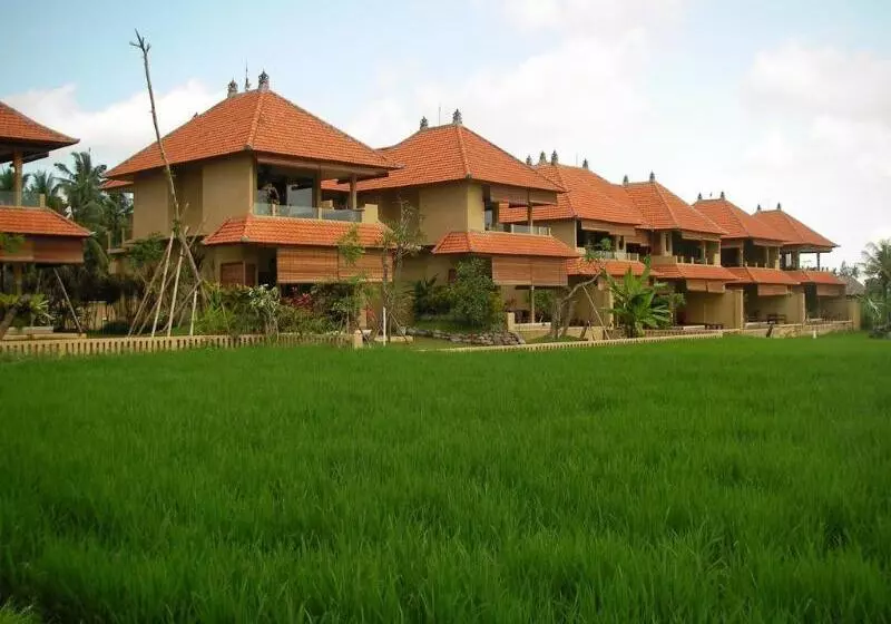 Fotos del hotel Green Field Hotel And Restaurant:  25