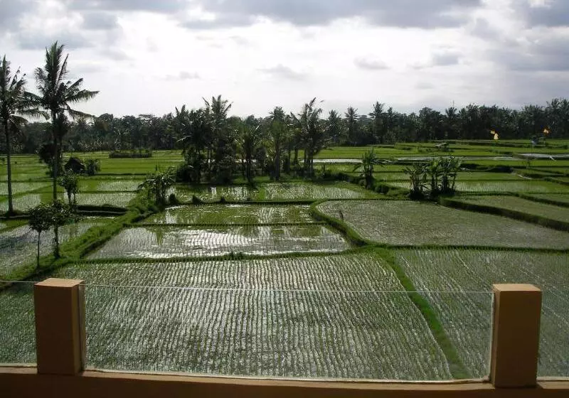 Fotos del hotel Green Field Hotel And Restaurant:  20