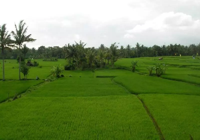 Fotos del hotel Green Field Hotel And Restaurant:  16