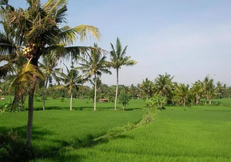 Fotos del hotel Green Field Hotel And Restaurant:  19