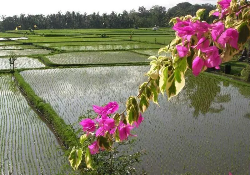 Fotos del hotel Green Field Hotel And Restaurant:  22