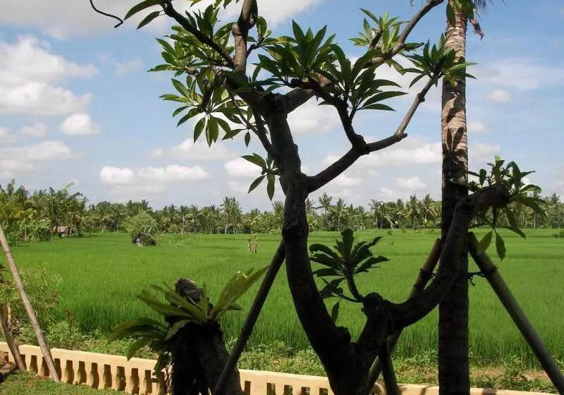 Fotos del hotel Green Field Hotel And Restaurant:  7