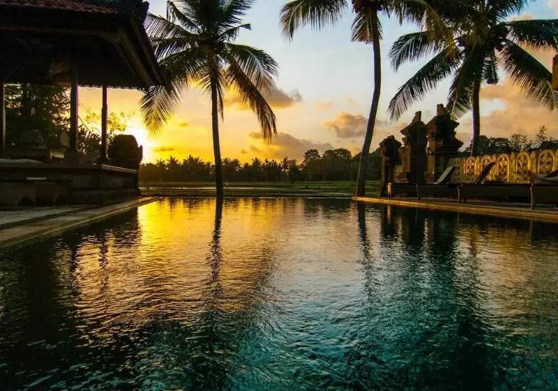 Fotos del hotel Green Field Hotel And Restaurant:  14