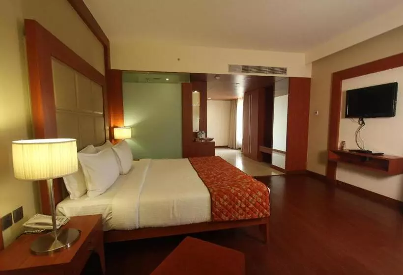 Fotos del hotel The Cambay Grand:  18