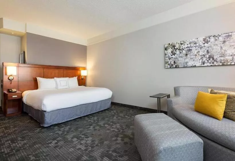 Fotos del hotel Courtyard By Marriott Houston Galleria:  15