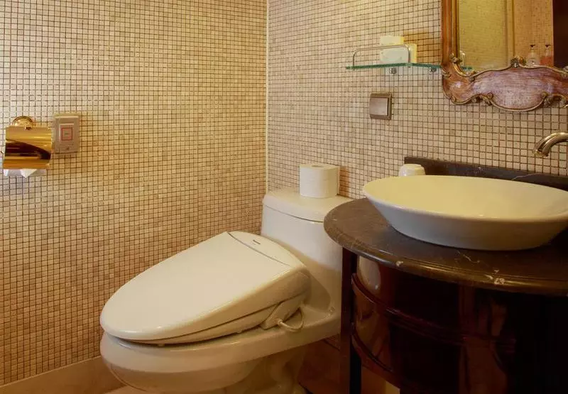 Fotos del hotel Gangnam Artnouveau City:  7