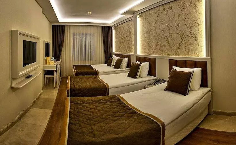 Fotos del hotel Samir Deluxe:  17