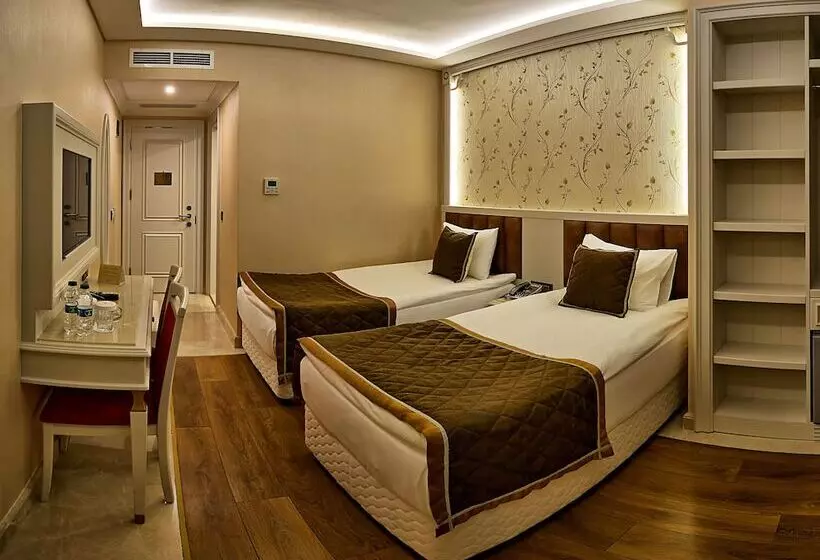 Fotos del hotel Samir Deluxe:  14