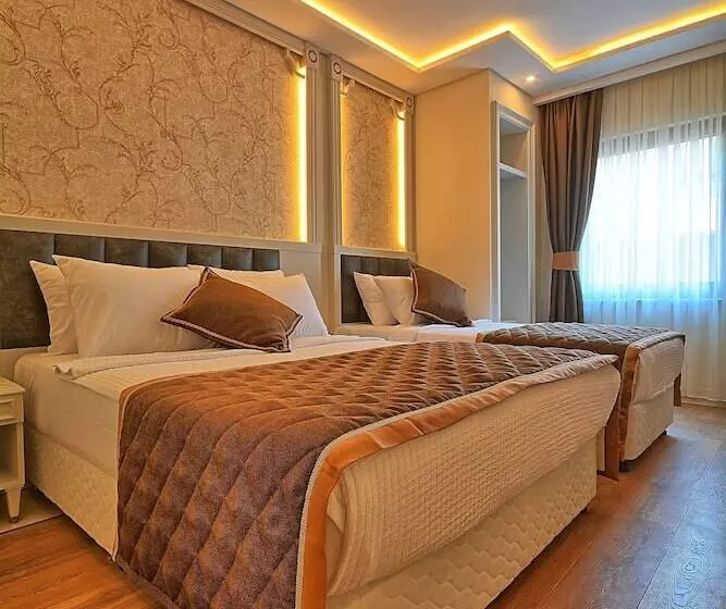 Fotos del hotel Samir Deluxe:  11