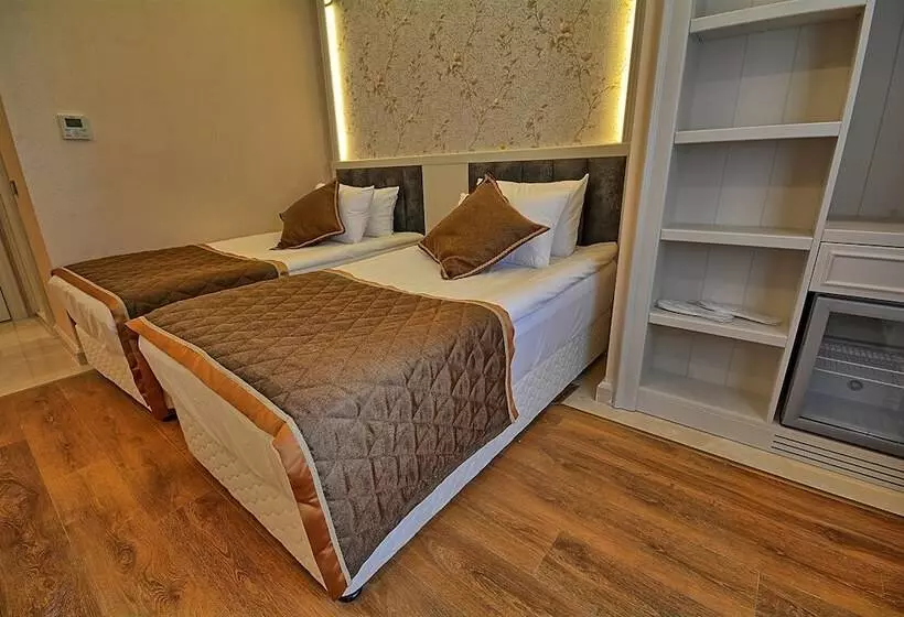 Fotos del hotel Samir Deluxe:  25