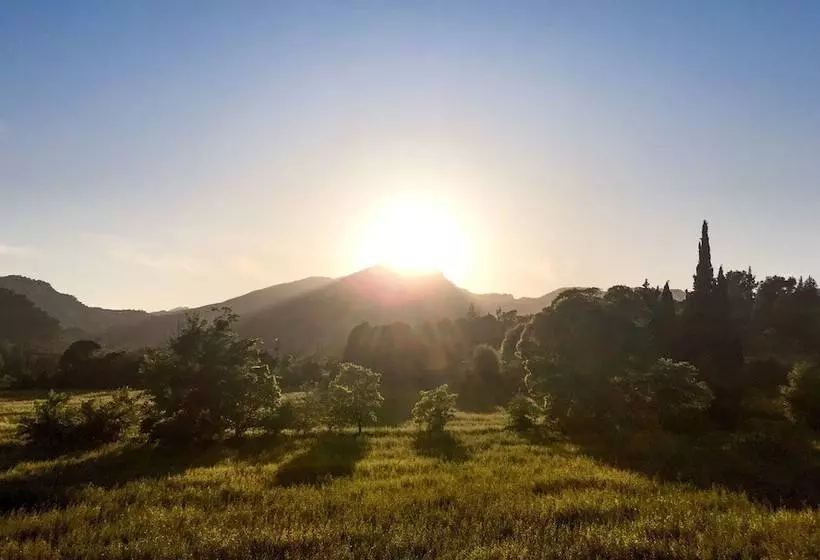 Fotos del hotel Finca Hotel Son Pont:  16