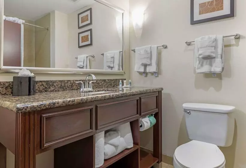 Fotos del hotel Comfort Suites West Dallascockrell Hill:  3