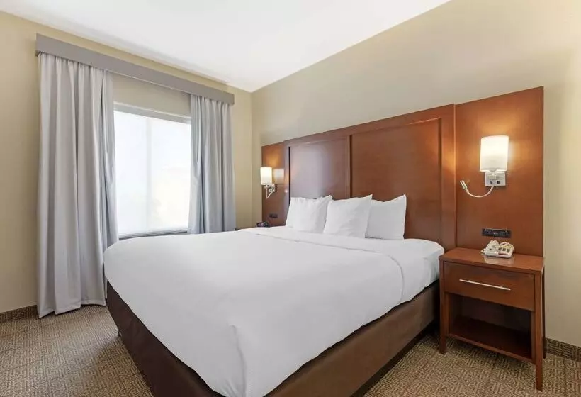 Fotos del hotel Comfort Suites West Dallascockrell Hill:  13