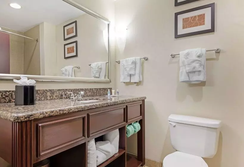 Fotos del hotel Comfort Suites West Dallascockrell Hill:  8