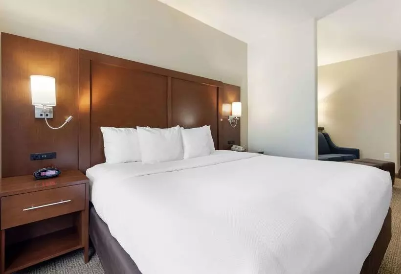 Fotos del hotel Comfort Suites West Dallascockrell Hill:  23