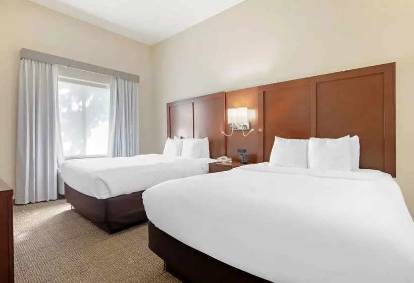 Fotos del hotel Comfort Suites West Dallascockrell Hill:  10